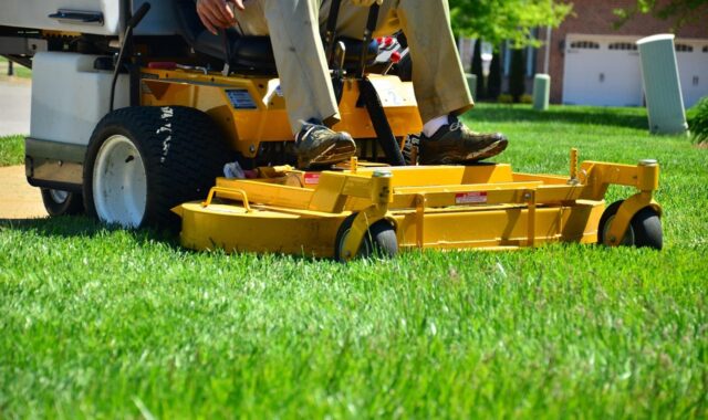 lawn care, lawn maintenance, lawn services, grass cutting, lawn mowing, green care, green service, lawn care, lawn care, lawn care, lawn care, lawn care, lawn mowing