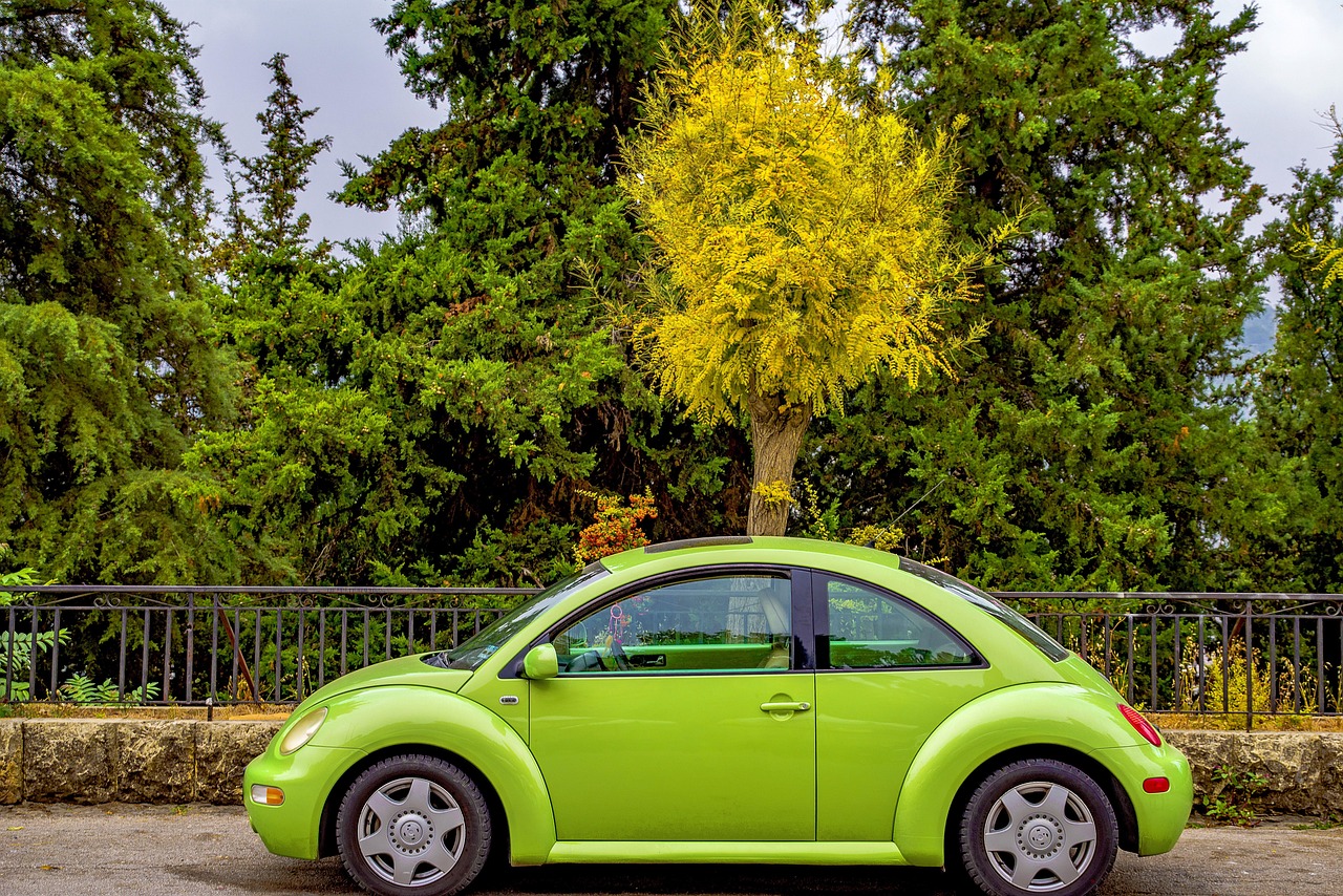 car, car wallpapers, beetle, volkswagen, automobile, green, new, clean, outside, nature