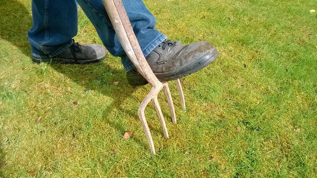 garden, fork, lawn, nature, lawn maintenance, gardening, green, equipment, work, tool, spring, outdoor, gardening tools, moss, drainage, aerate, digging, soil, dirt, digging fork