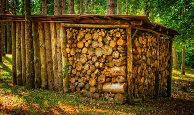 wood, stack, firewood, stacked, tree trunks, stacked up, pile of wood, wood supply, stock, heat, energy, winter, storage, warehouse, sawed off, timber, firewood, firewood, firewood, firewood, firewood