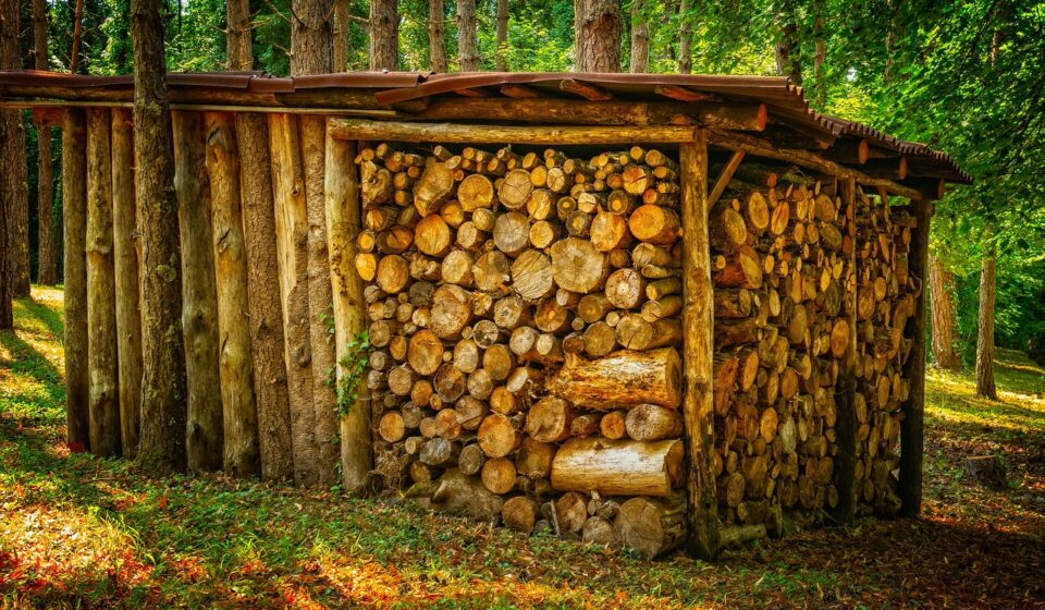 wood, stack, firewood, stacked, tree trunks, stacked up, pile of wood, wood supply, stock, heat, energy, winter, storage, warehouse, sawed off, timber, firewood, firewood, firewood, firewood, firewood