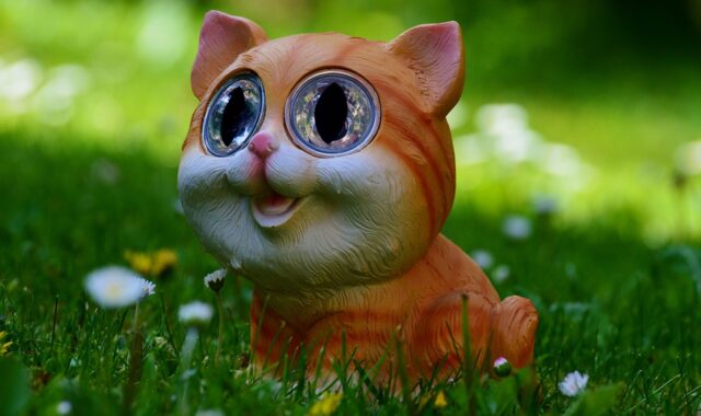 cat, meadow, pet, cute, animal, fun, solar