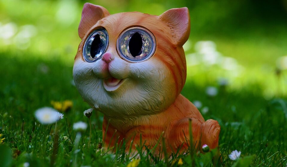 cat, meadow, pet, cute, animal, fun, solar