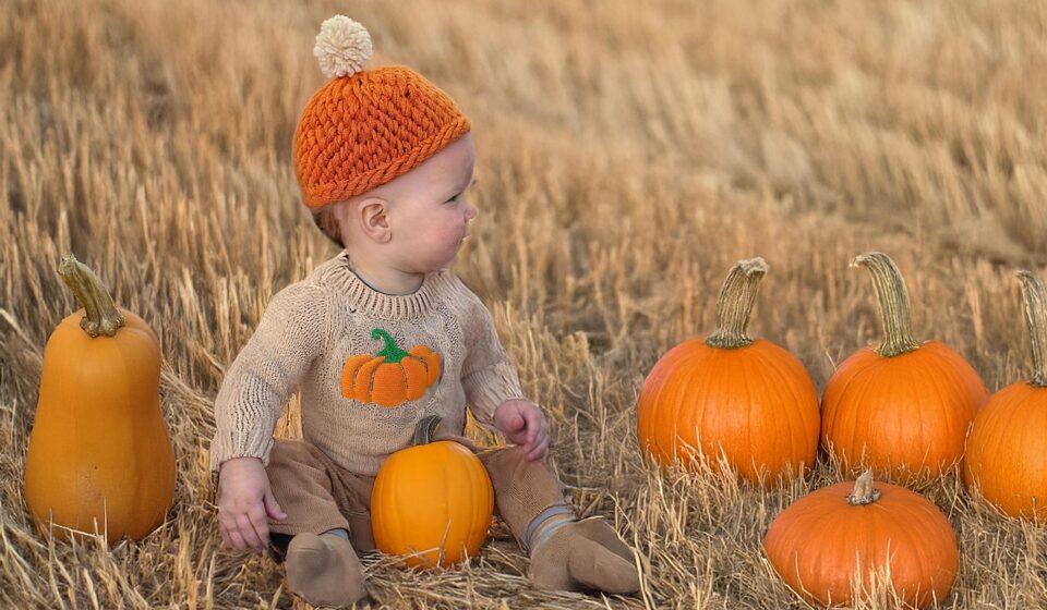 little boy, fall, autumn, pumpkins, november, thanksgiving, harvest, october, season, toddler, kid, child