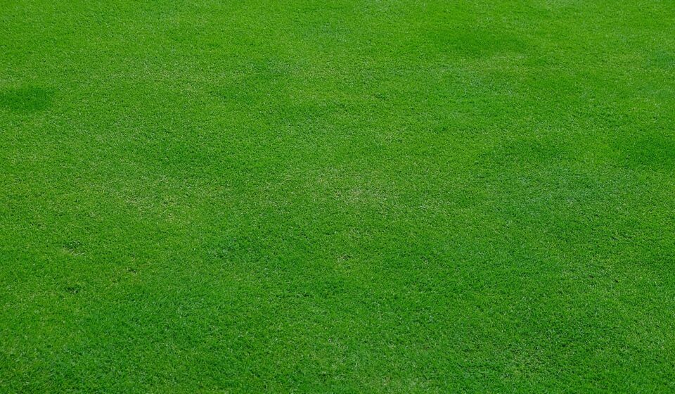 lawn, meadow, grass, green, spring, stalks, cut the lawn, mow, nature, lawn mower, english lawn, texture