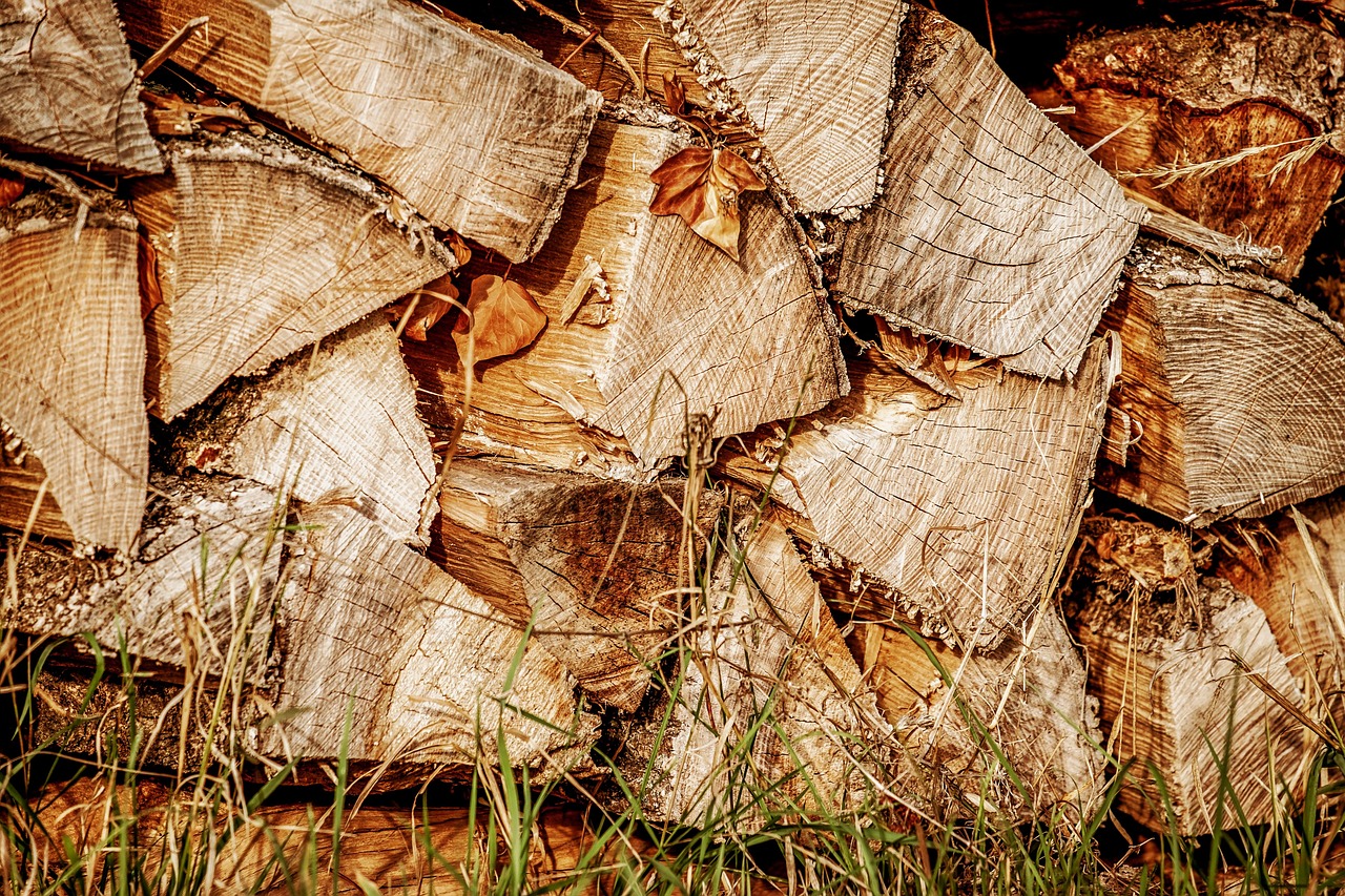 wood, logs, log, stacked up, timber, firewood, storage, wood supply, heat, energy, pile of wood, sawed off, tree wood, stacked, stack, stock, firewood, firewood, firewood, firewood, firewood