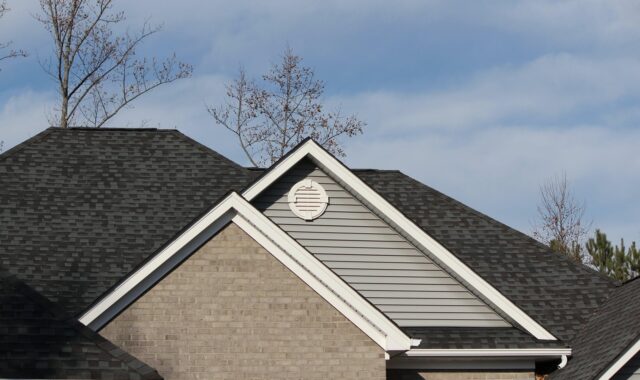roofline, shingles, architectural style, mansard, a-frame, hip roof, gables, attic ventelation, gutters, blue frame, shingles, shingles, shingles, shingles, shingles, gutters, gutters, gutters, gutters