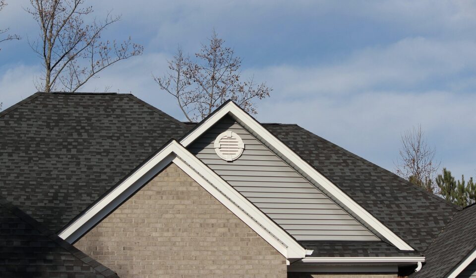 roofline, shingles, architectural style, mansard, a-frame, hip roof, gables, attic ventelation, gutters, blue frame, shingles, shingles, shingles, shingles, shingles, gutters, gutters, gutters, gutters