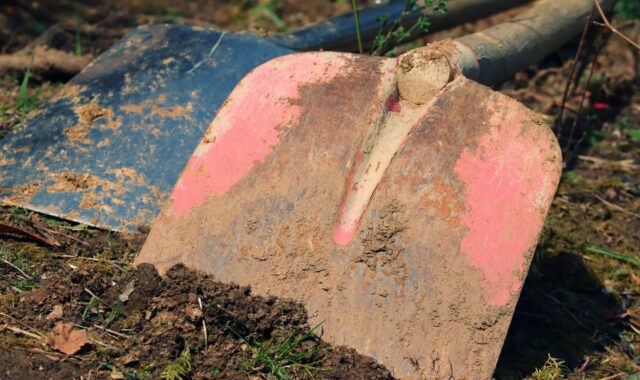 gardening, garden shovel, earth, garden soil, mother bottom, shovel, digging around, garden, tool, working device, garden tools, equipment, dig, clean, clean up, landscaping, tools, work, nature, maintenance, court, gardener
