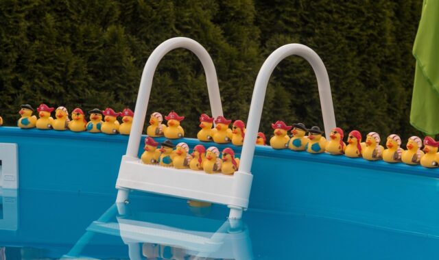 pool, nature, water, swimming pool, refresh, to bathe, summer, pool swiming pool duck, rubber duck, toys