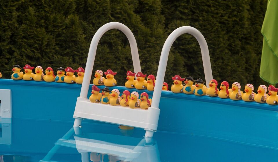 pool, nature, water, swimming pool, refresh, to bathe, summer, pool swiming pool duck, rubber duck, toys