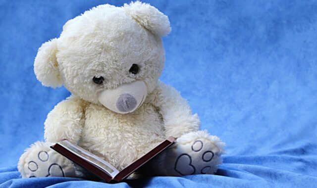still life, teddy, white, read, a book, background blue, still life, still life, still life, teddy, teddy, teddy, teddy, teddy, a book, a book, a book, a book
