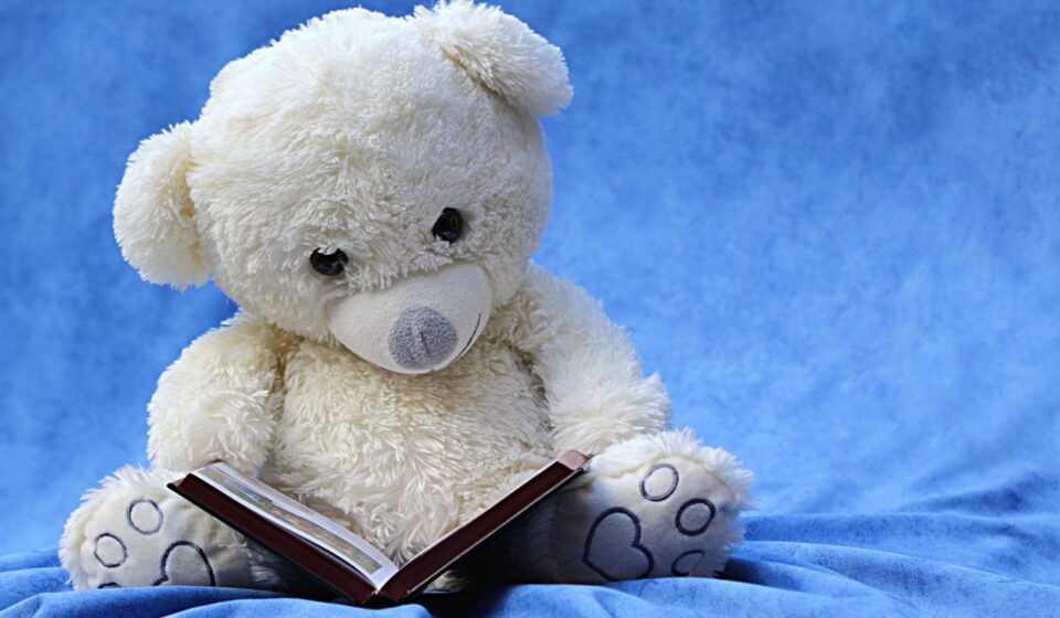 still life, teddy, white, read, a book, background blue, still life, still life, still life, teddy, teddy, teddy, teddy, teddy, a book, a book, a book, a book