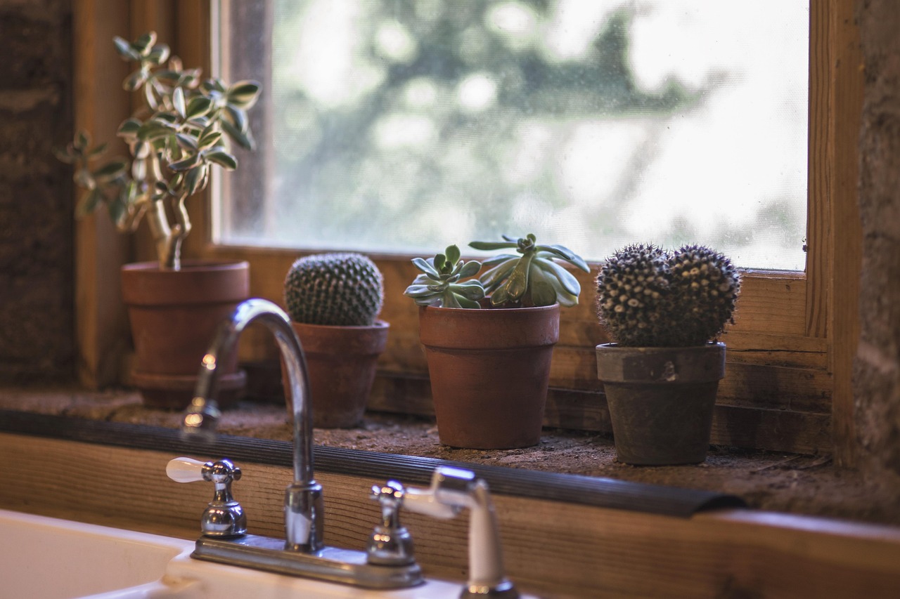 cactus, kitchen, design, interior, table, modern, sink, window, outside, inside, ledge, home, style, house, apartment, wooden, wood, estate, faucet, clean, dining, counter, indoor, lifestyle, brown home, brown house, brown kitchen, brown wood, brown window, brown table, brown design, brown interior, brown clean, cactus, kitchen, kitchen, kitchen, kitchen, kitchen, window, house, apartment