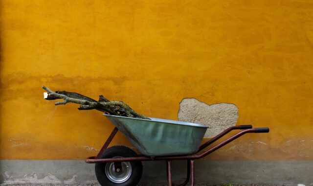 gardening, wood, wall, wheelbarrow, working device, equipment, tools, transport, cart, plant, nature, garden tools, wheel, maintenance, spring, work, wheelbarrow, wheelbarrow, wheelbarrow, wheelbarrow, wheelbarrow, garden tools