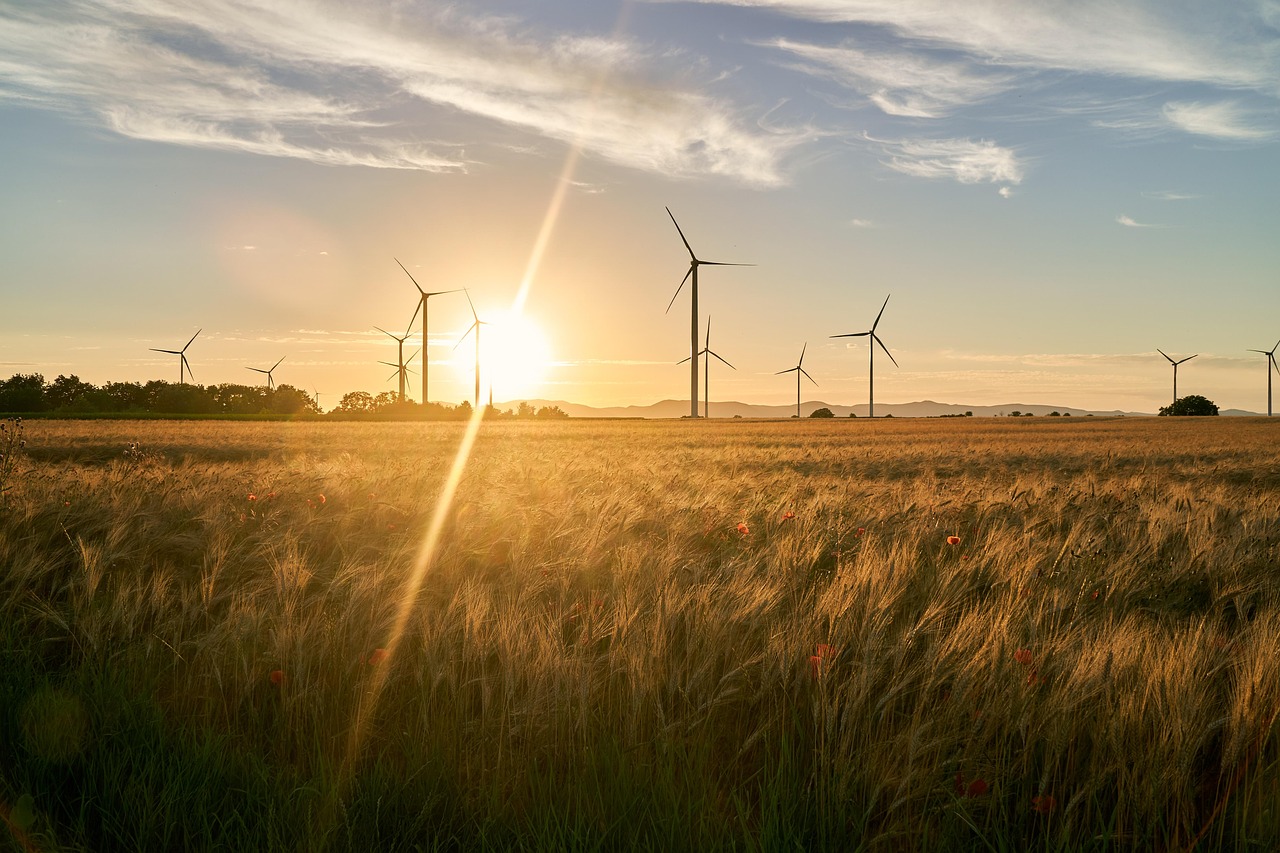field, sunset, nature, windmill, energy, renewable energy, electricity, dusk, landscape