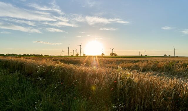 field, sunset, windmill, nature, energy, renewable energy, electricity, dusk, landscape