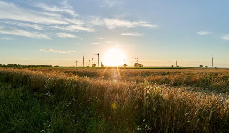 field, sunset, windmill, nature, energy, renewable energy, electricity, dusk, landscape
