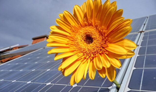 solar, photovoltaic, renewable, solar energy, solar cells, power generation, renewable energy, solar photovoltaic, energy generation, environmentally friendly, electricity, solar system, eco energy, photovoltaic, photovoltaic, photovoltaic, photovoltaic, photovoltaic, solar energy